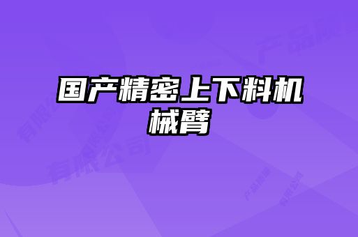 國產精密上下料機械臂