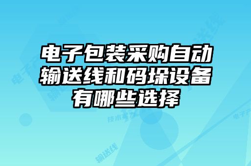 電子包裝采購(gòu)自動(dòng)輸送線和碼垛設(shè)備有哪些選擇