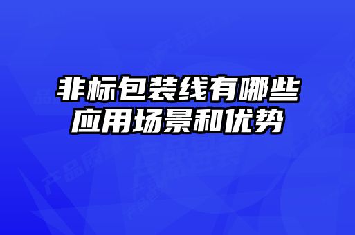 非標包裝線有哪些應用場景和優勢